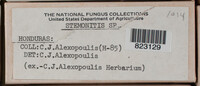 Image Associated With the Occurence